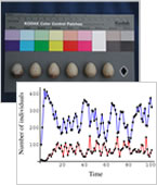 ������ʪ�إ��᡼������