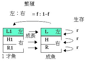 �������Ⱥ����������