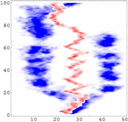 �ۥ��Ȥȥѥ饵���Ȥζ��ʲ���ǥ�